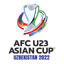 AFC U23 Asian Cup - Qualification