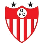home logo