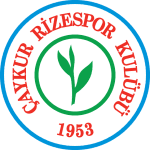 home logo