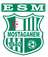 home logo