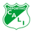 home logo