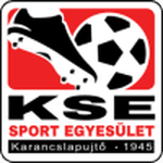 home logo