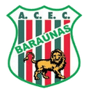 home logo