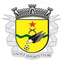 home logo