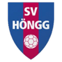 home logo