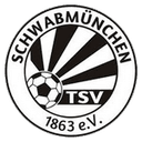 home logo