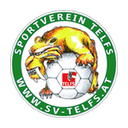 home logo