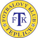 home logo