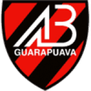 home logo