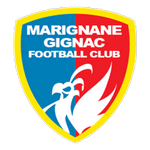 home logo