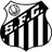 home logo