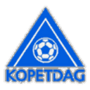 home logo