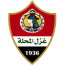 home logo