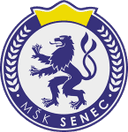 home logo