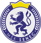 home logo