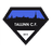home logo