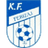 home logo