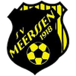 home logo