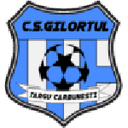 home logo
