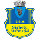 home logo