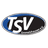 home logo
