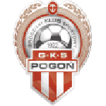 home logo