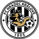 home logo