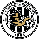home logo