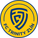 home logo
