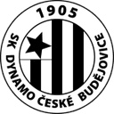 home logo