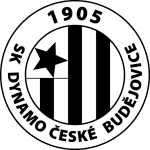 home logo