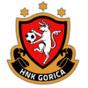 home logo