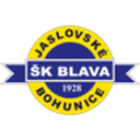 home logo