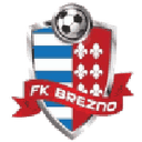 home logo