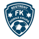 home logo