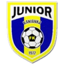 home logo