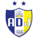 home logo