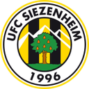 home logo