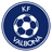 home logo