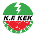 home logo