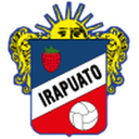 home logo