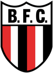 home logo