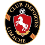 home logo