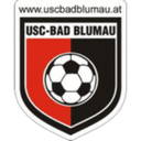 home logo