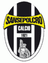 home logo