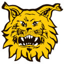 Ilves III