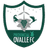 home logo