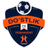 home logo