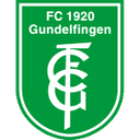 home logo