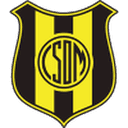 home logo